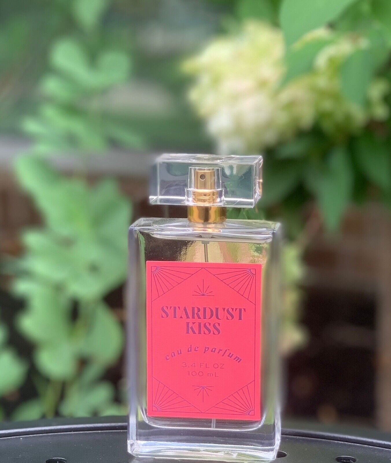 Stardust Kiss By Tru Fragrance & Beauty LLC Eau de Parfum 100 ml 3.4 oz
