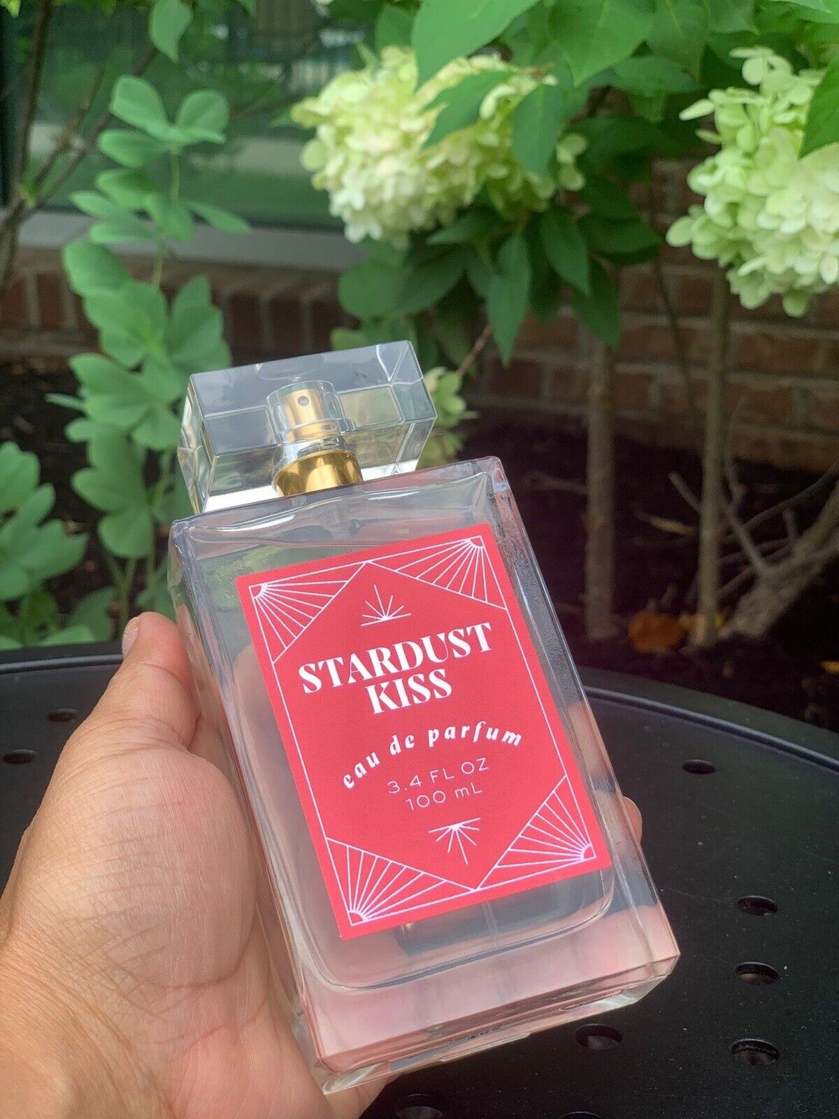 Stardust Kiss By Tru Fragrance & Beauty LLC Eau de Parfum 100 ml 3.4 oz