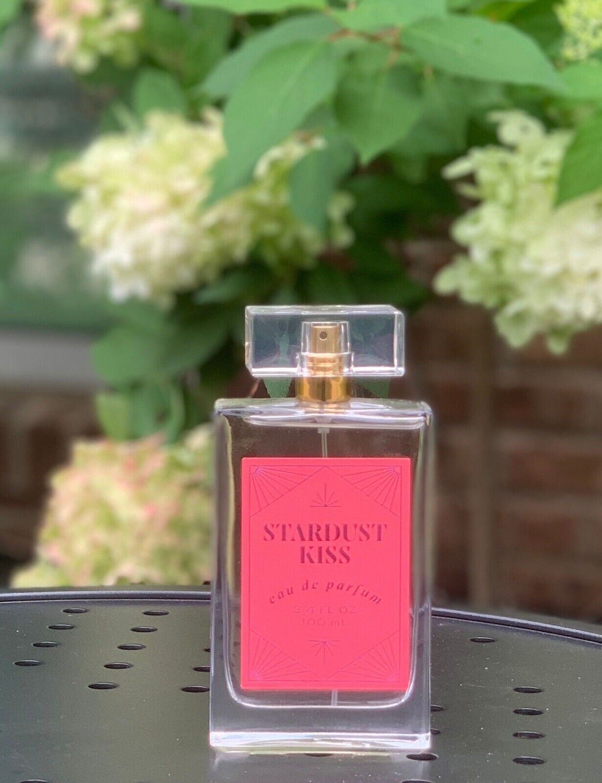 Stardust Kiss By Tru Fragrance & Beauty LLC Eau de Parfum 100 ml 3.4 oz