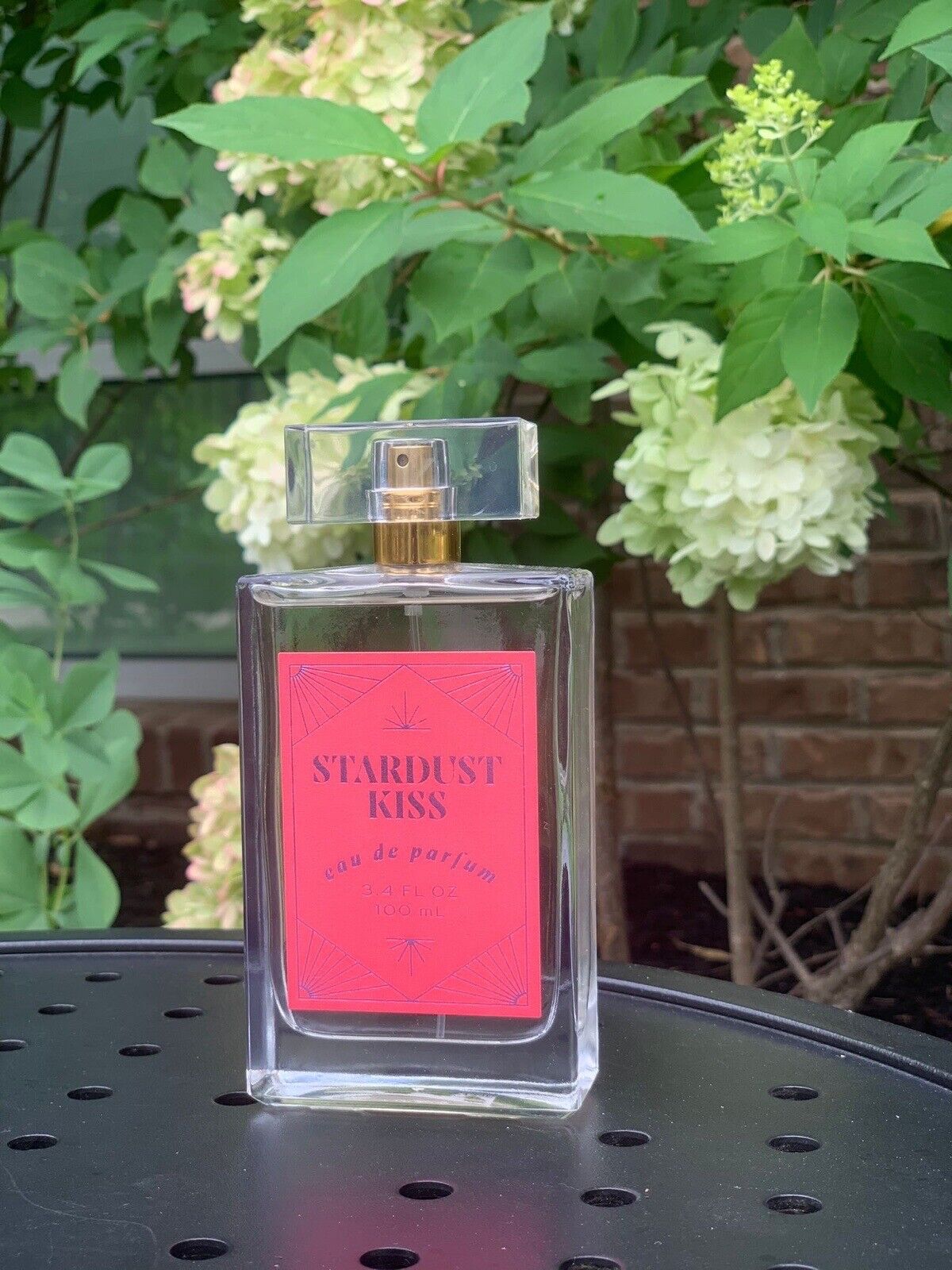 Stardust Kiss By Tru Fragrance & Beauty LLC Eau de Parfum 100 ml 3.4 oz